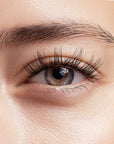 Press On Lashes - After Hours - Daily Wear Collection