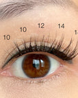 eye with 10mm, 12mm, and 14mm natural lash clusters