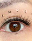 eye with 8mm,10mm, 12mm natural lash clusters