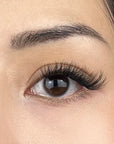 Close-up of a person's eye with dramatic lash clusters