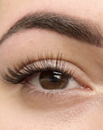 upclose image of womans eye with classic lash clusters