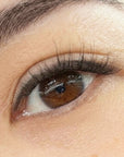 Pre-Glued Lashes - Natural Pretty - Long Wear *Best Seller *