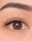 Pre-Glued Lashes - Twinkle - Long Wear