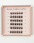 Pre-Glued Lashes - Twinkle - Long Wear
