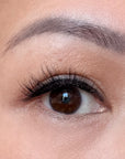 close up of asian eye and false lashes