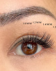 close up lash map of lash clusters on asian woman with almond eyes.