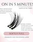 Pre-Glued Lashes - Softly Full