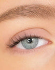 Pre-Glued Lashes - Twinkle - Long Wear