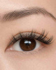 Press On Lashes - After Hours - Daily Wear Collection