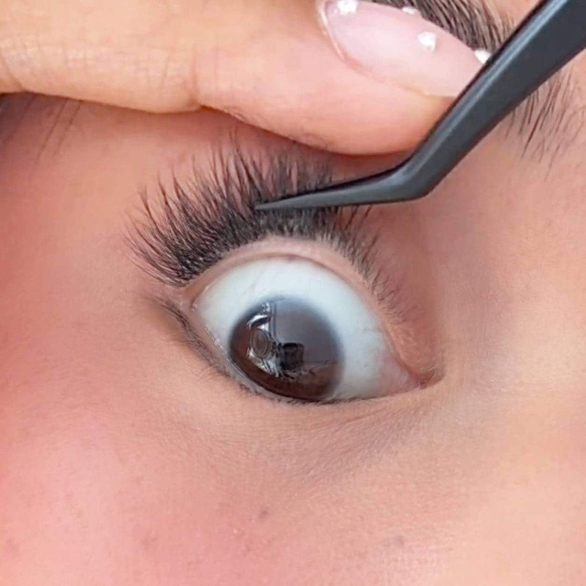 Attach lash Cluster