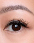 Close-up of a brown eye with full looking press on lash clusters and well-groomed eyebrow.
