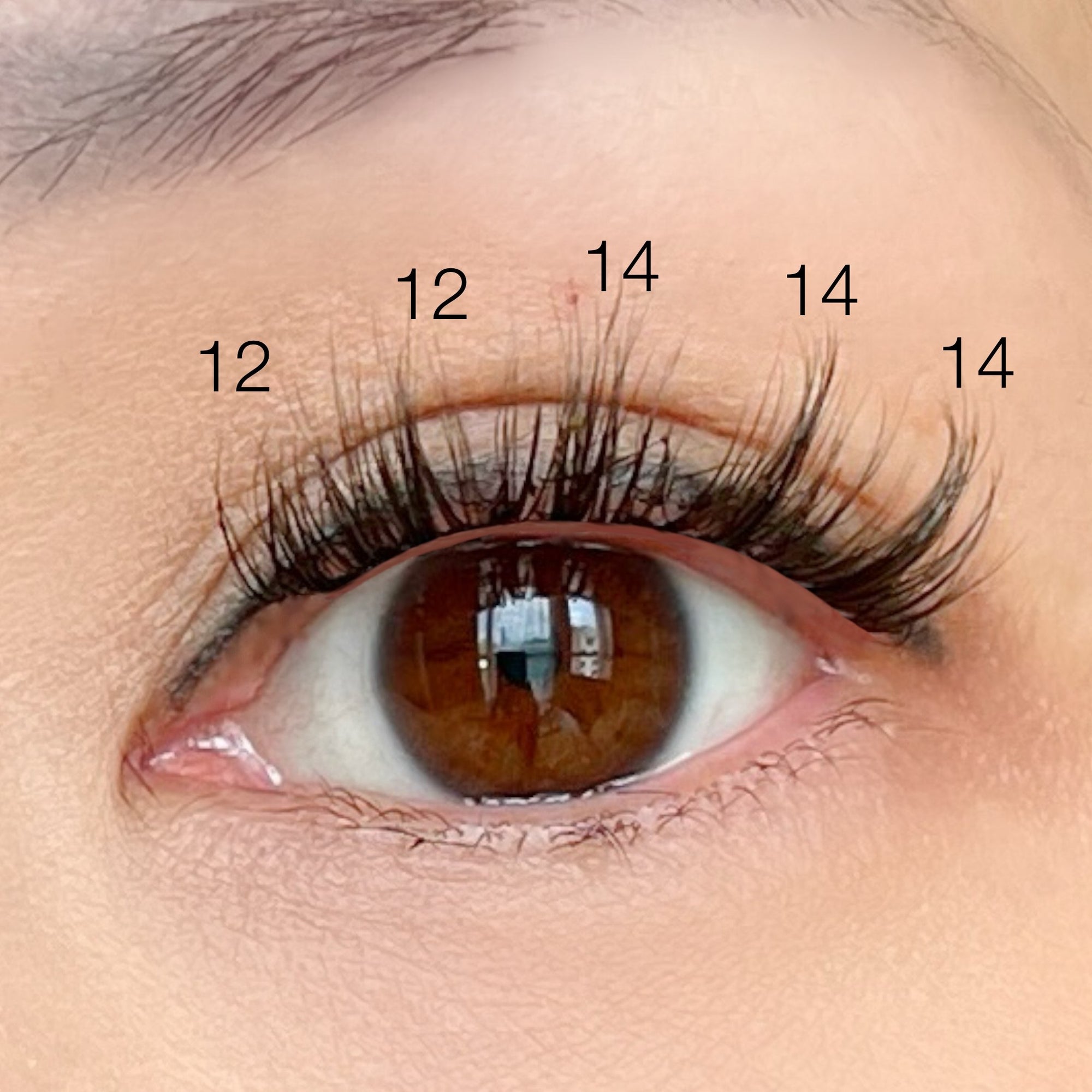 eye with 12mm and 14mm wispy lash clusters