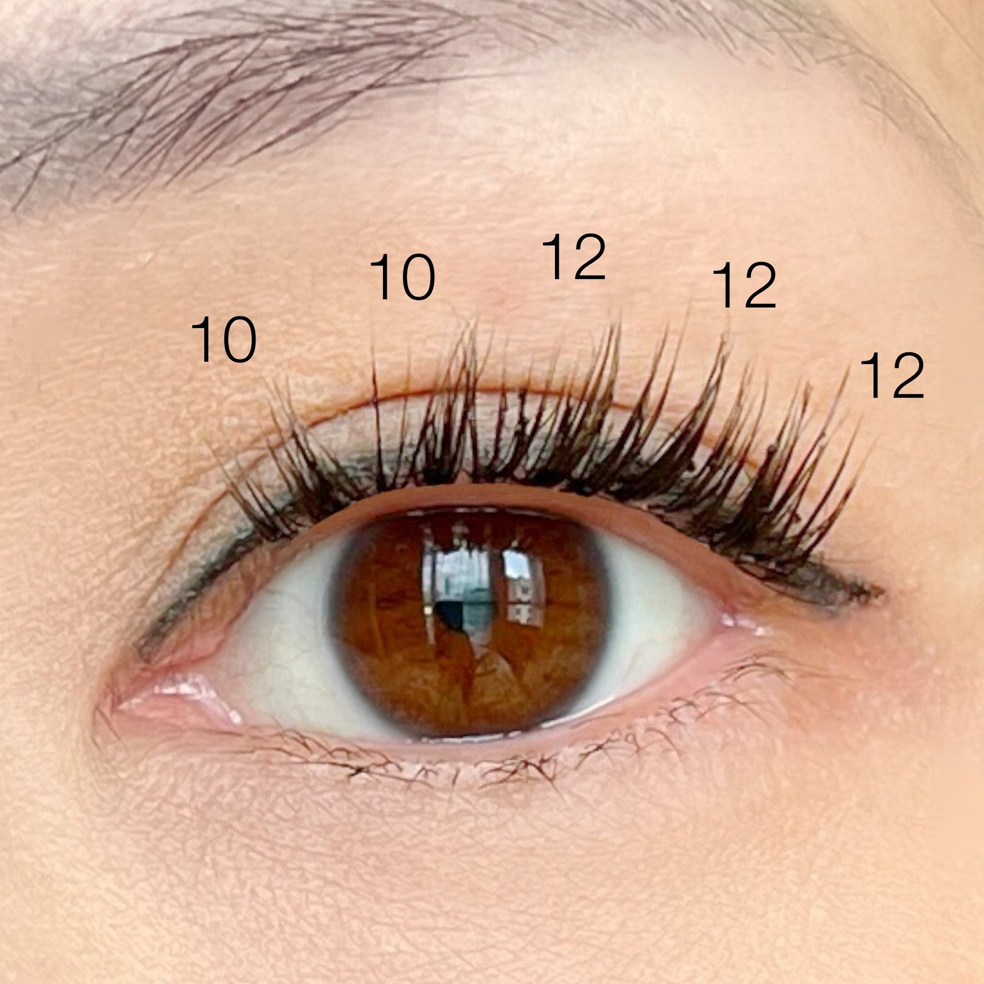 eye with 10mm and 12mm wispy lash clusters