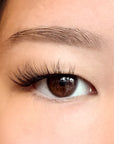 Picture of this lash style on a mono lid eye