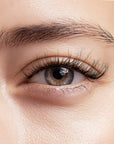 Pre-Glued Lashes - Main Character - Daily Wear Collection