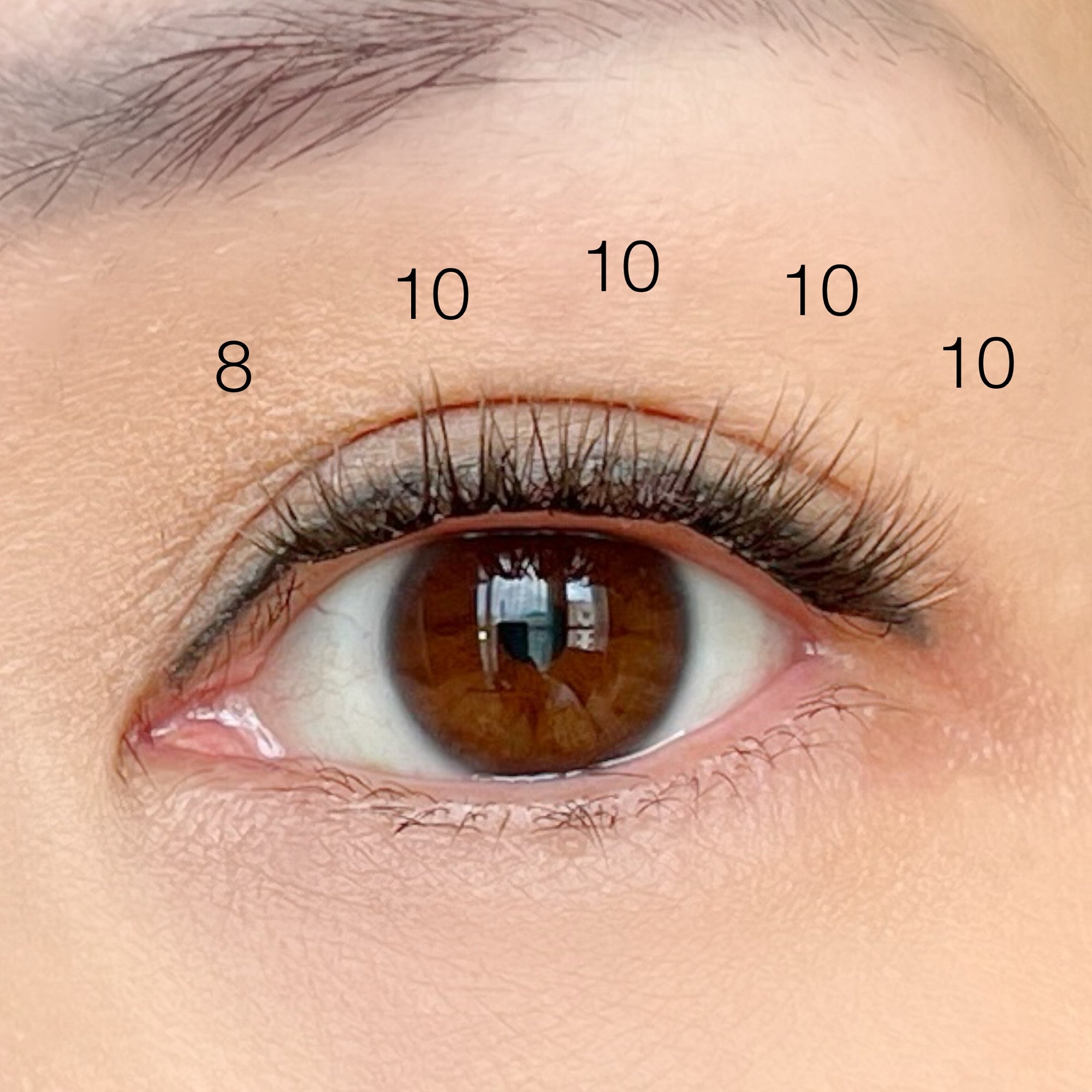 eye with 8mm and 10mm natural lash clusters
