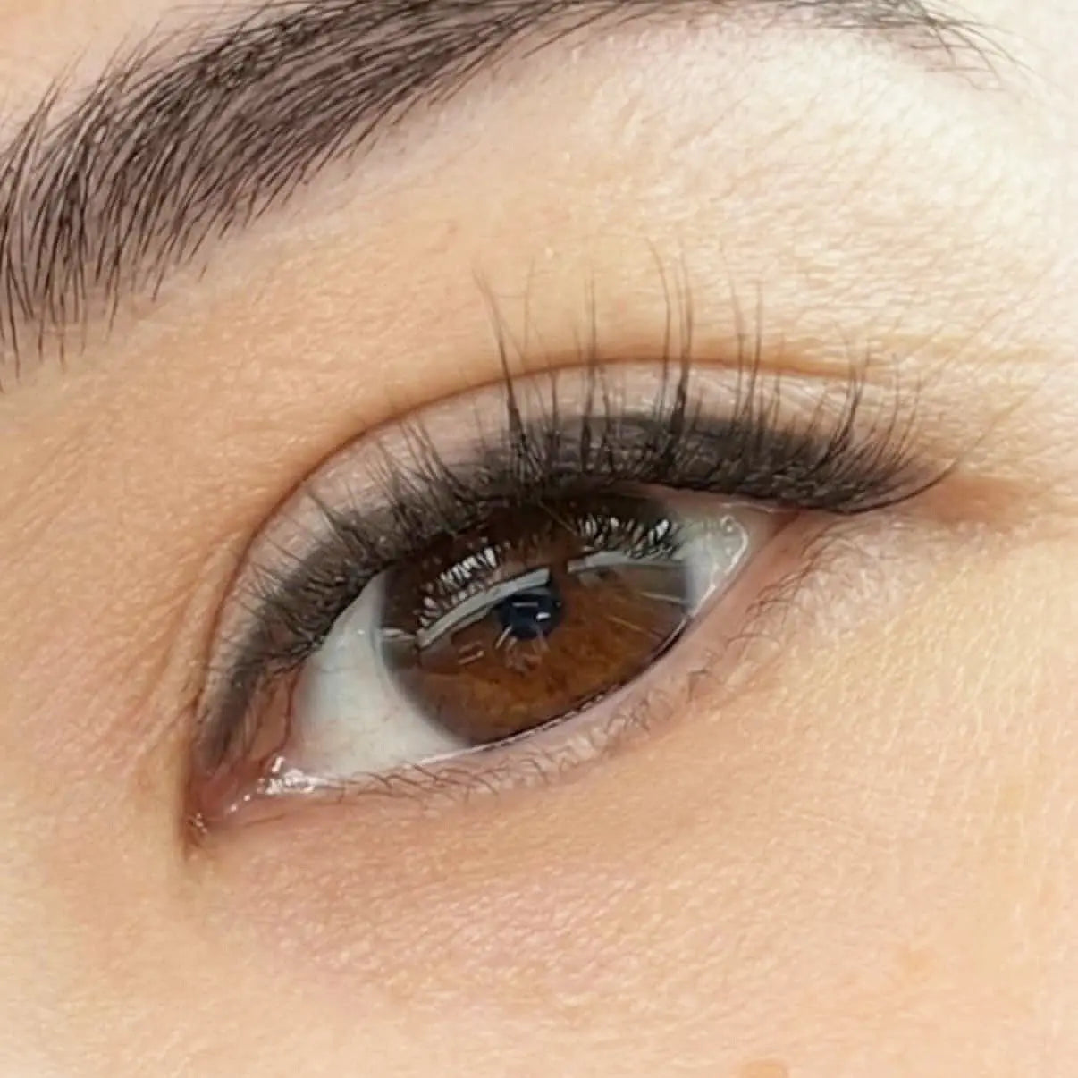 Close-up of a brown eye with natural looking press on lashes