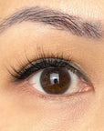 Pre-Glued Lashes - Natural Pretty