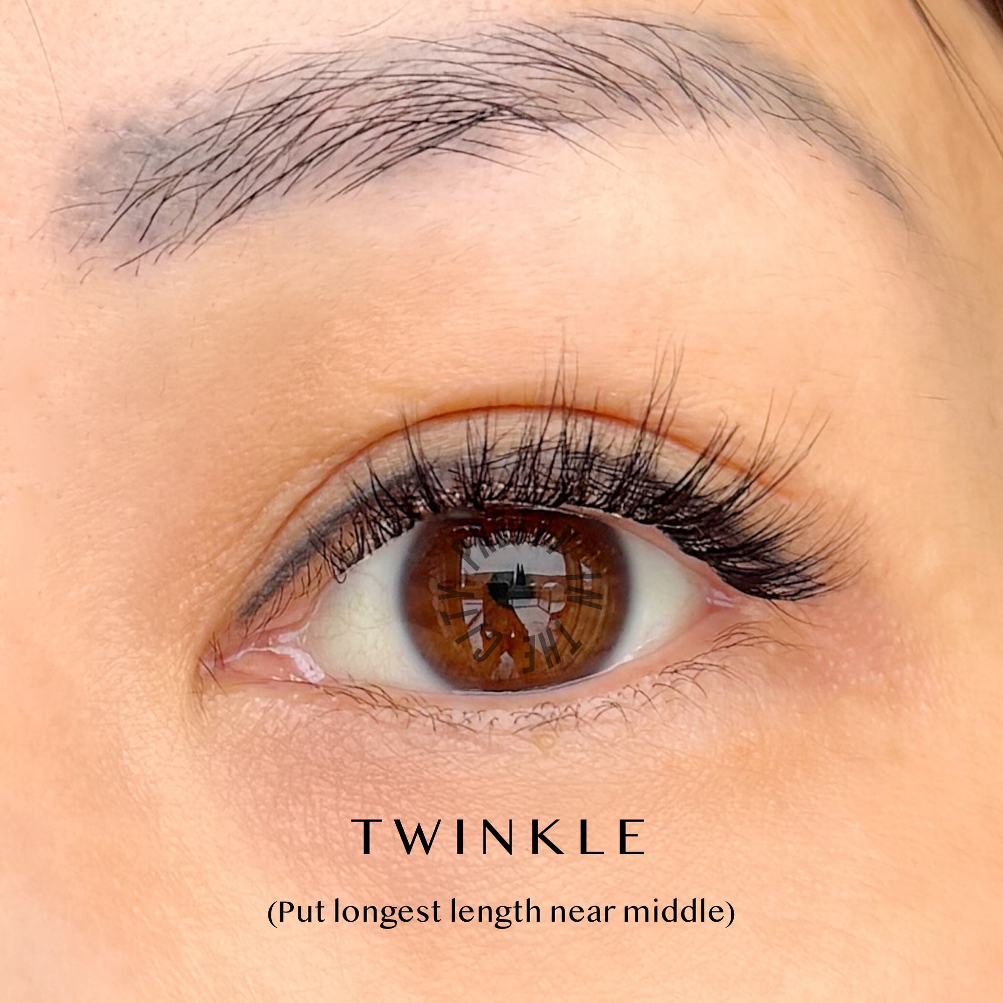 Pre-Glued Lashes - Twinkle