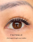Pre-Glued Lashes - Twinkle