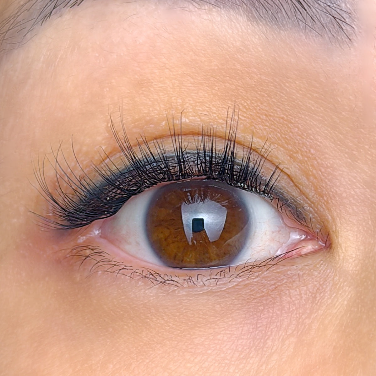 Close-up of a person's eye with pre-glued false eyelashes