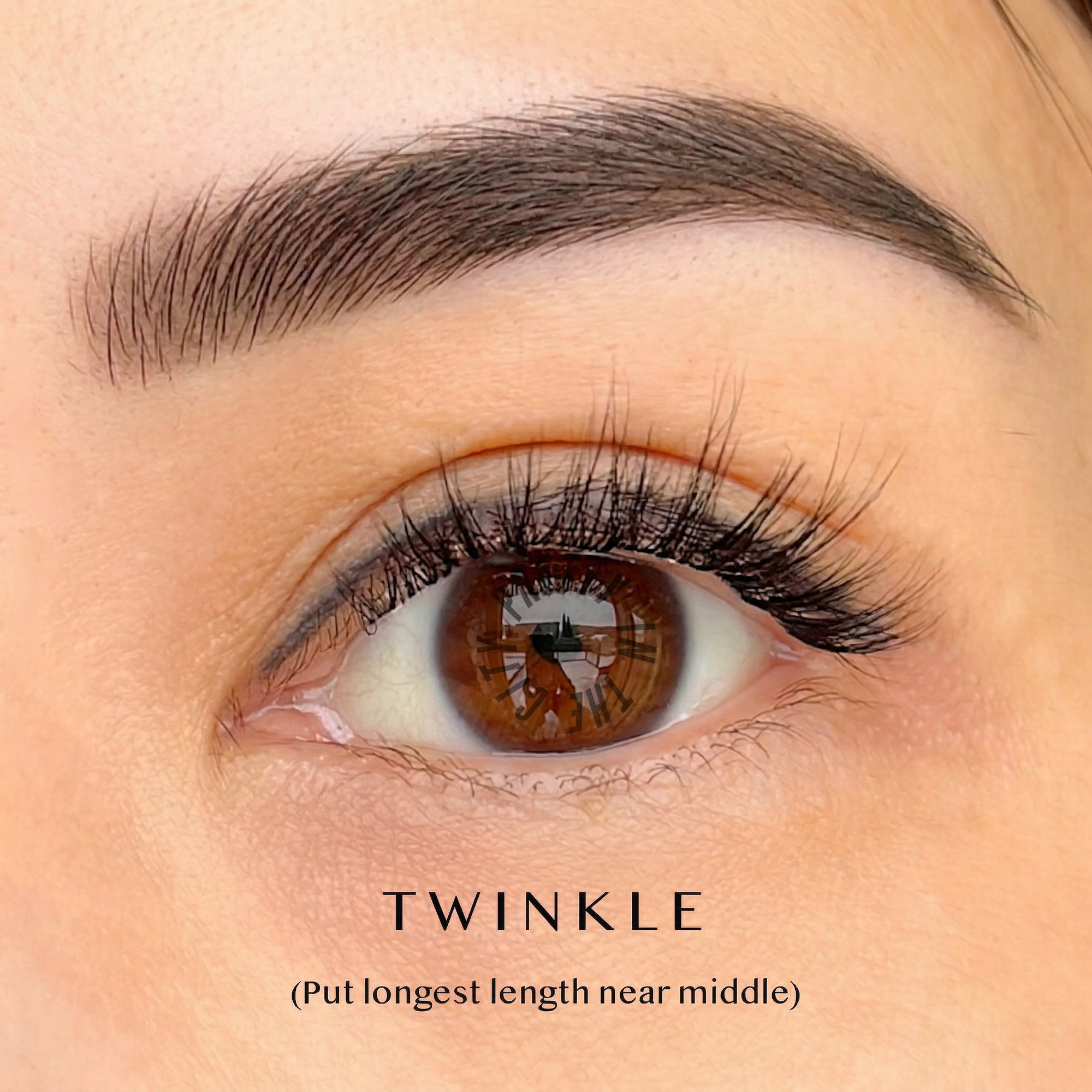 Close-up of an eye with natural cluster lashes labeled 'Twinkle' on a beige background