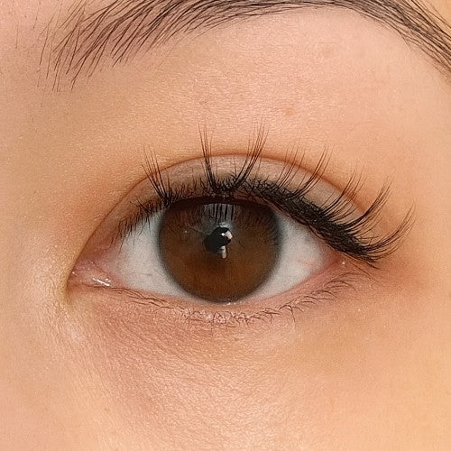 Close-up of a brown eye with long eyelashes
