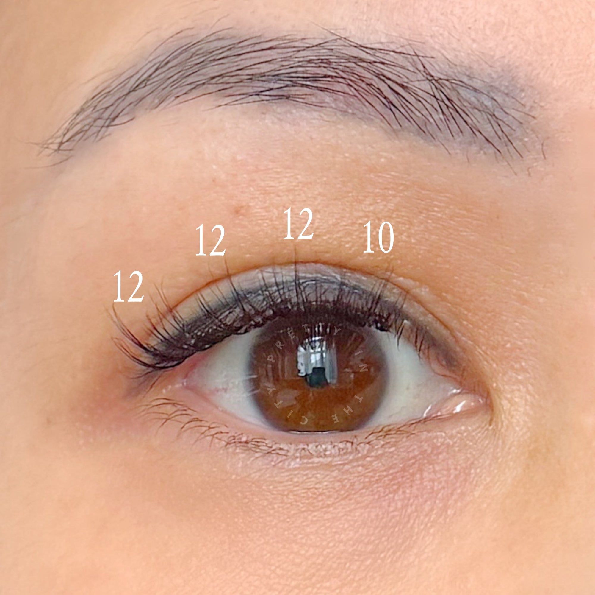 Lash map for natural look lash clusters on an almond eye