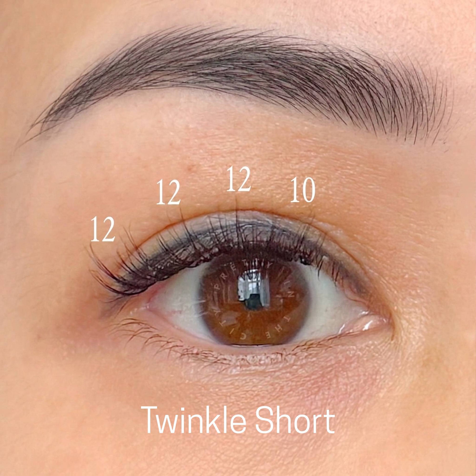 Close-up of an eye with short press on eyelashes labeled 'Twinkle Short' on a beige background