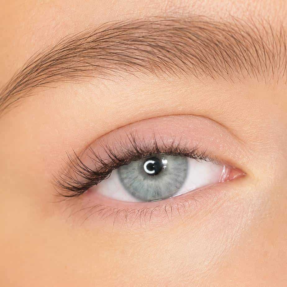 Pre-Glued Lashes - Twinkle - Long Wear